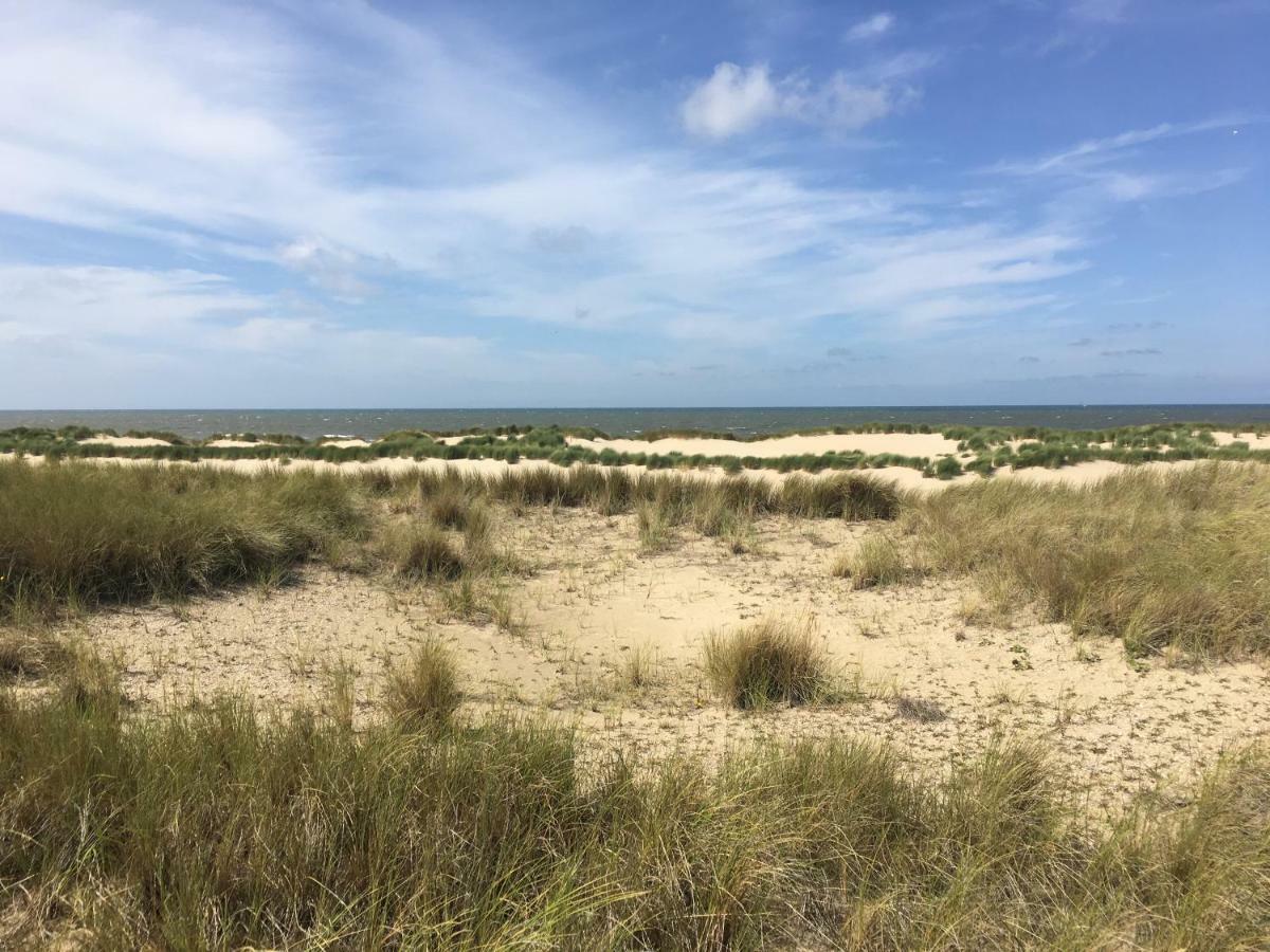 Penthouse Belle Vue Apartment Bergen aan Zee Bagian luar foto